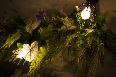 Ivy Green Garden ve Tavanda Ampuller Asılı. Ev dekorasyonu Yeşil Bahçe.