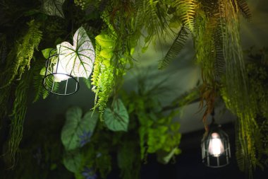 Ivy Green Garden ve Tavanda Ampuller Asılı. Ev dekorasyonu Yeşil Bahçe.