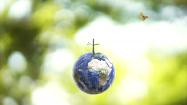 Motyl Planecie Ziemia Kula Globu Rosnące Drzewo Zielonym Słonecznym Tle — Wideo stockowe