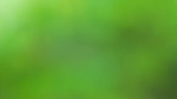 Abstract Green Blurred Background. Light Green Gradient Blur Background. Fractal Noise Green Background.