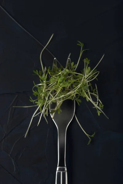 Вилка Водяной Микрозеленью Темном Текстурированном Фоне — стоковое фото