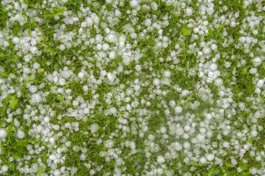 Büyük dolu fırtınadan sonra yeşil çimlerde.