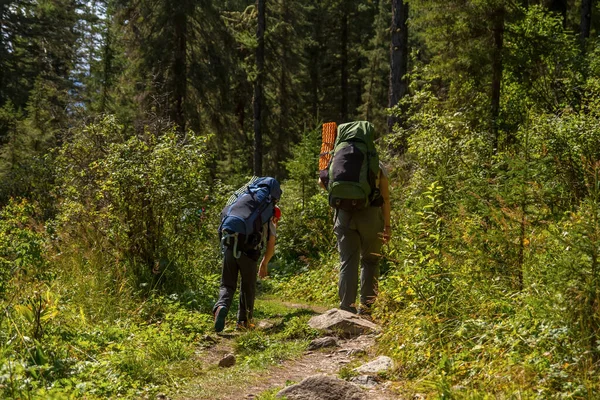 Turisté s velkými batohy procházka lesem v horách. Stock Snímky