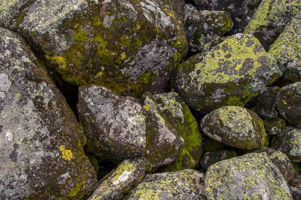 Η υφή της πέτρας καλύπτεται με πράσινη λειχήνα. Η επιφάνεια μιας παλιάς πέτρας. Royalty Free Φωτογραφίες Αρχείου