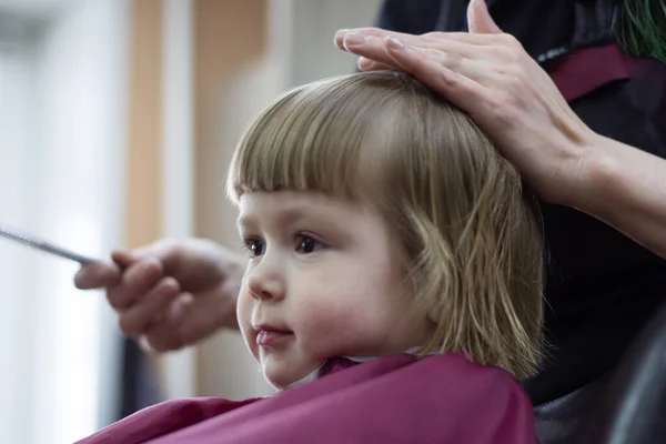 A little blonde girl 3 years old gets a bob haircut in a hairdresser. Baby hair care. Close-up.