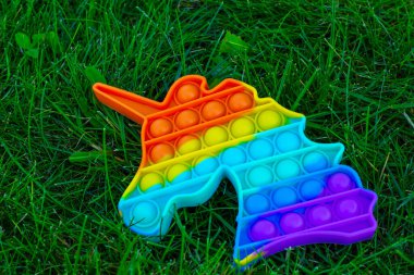 Sensory toy 