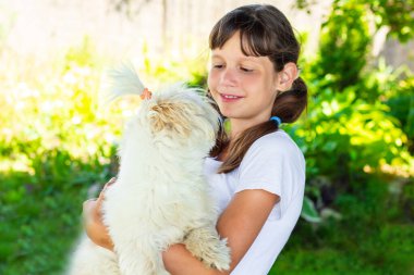 Shitzu cinsi bir köpekle oynayan komik bir genç kız. Portre. Yakın plan. Metnin için yer.