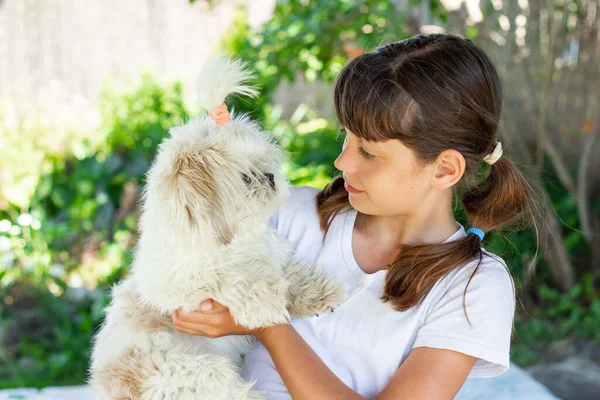 Menina Adolescente Engraçada Brincando Com Cão Raça Shitzu Natureza Retrato Imagens Royalty-Free