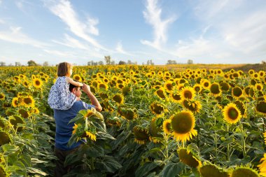 Küçük bir kızı olan bir baba ayçiçeği tarlasında yürüyor ve eğleniyor. Yakın plan. Metnin için yer.