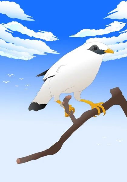 Sällsynt vit fågel sitter på en gren — Stockfoto
