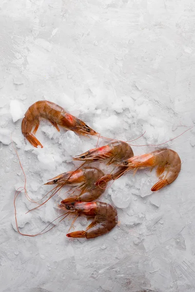 Delicious fresh shrimps — Stock Photo, Image