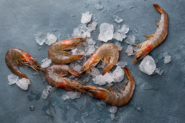 Lahodné čerstvé shrims — Stock fotografie