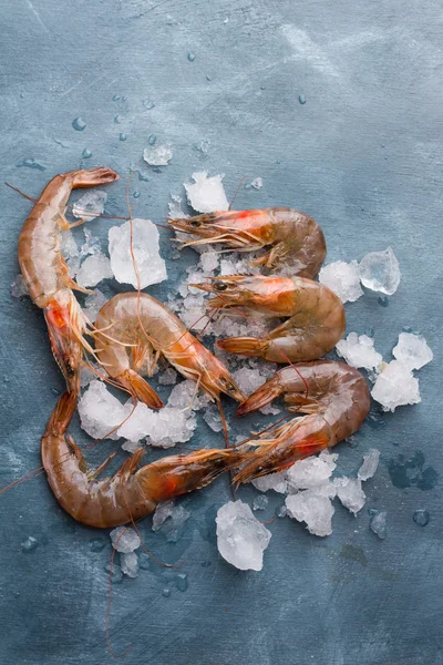 맛 있는 신선한 새우 — 스톡 사진