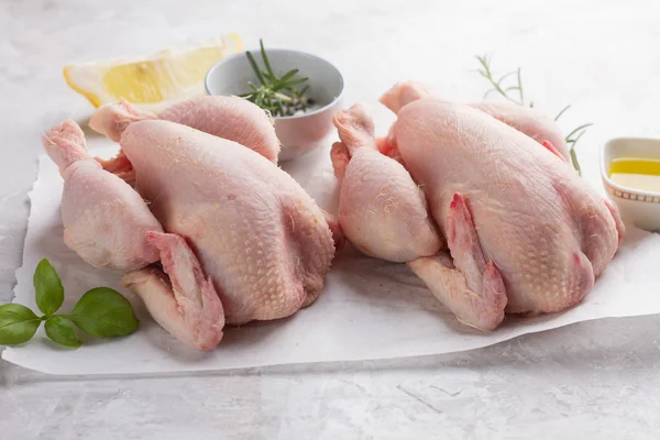 Čerstvé kuře s kořením — Stock fotografie