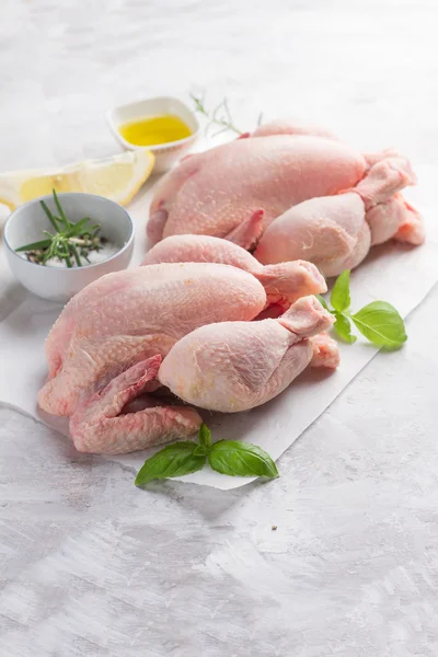 Frisches Huhn mit Gewürzen — Stockfoto
