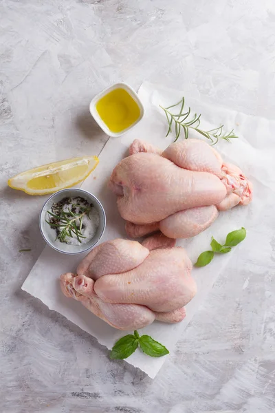 Свежий цыпленок со специями — стоковое фото