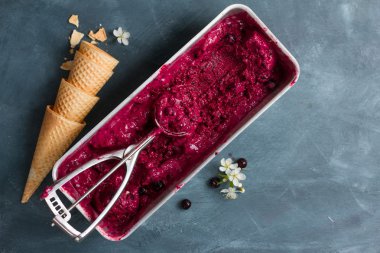 Berry dondurma veya taze berry ile sorbe