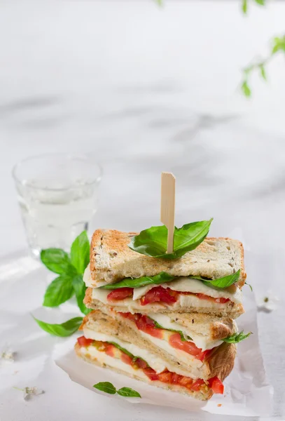 Sandwich caprese fatto in casa sano — Foto Stock