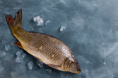 Lezzetli taze balık (sazan)