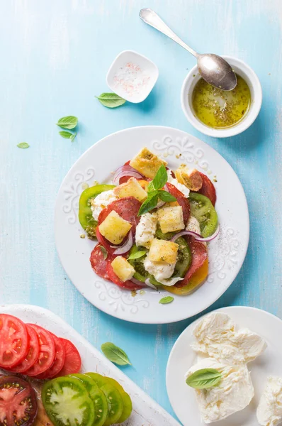 Insalata con pomodori colorati, formaggio e pane (insalata di panzanella — Foto Stock