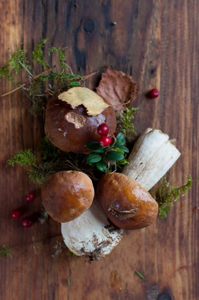 Fungo boletus su sfondo di legno — Foto Stock