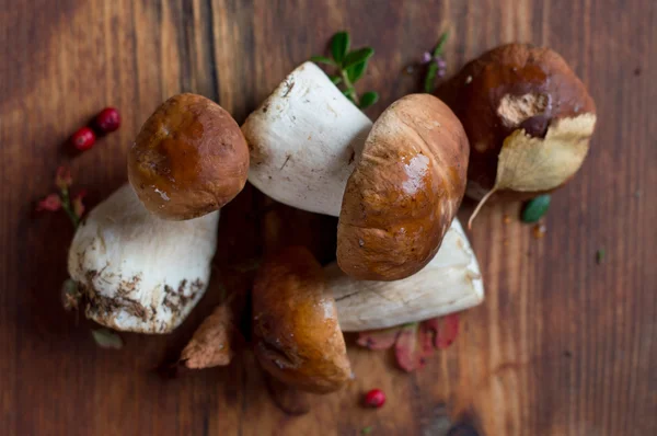 Boletus hongo sobre fondo de madera — Foto de Stock