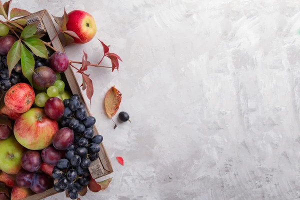 Höstens frukter på trä bakgrund, — Stockfoto