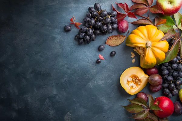Höstfrukter och höstgrönsaker — Stockfoto