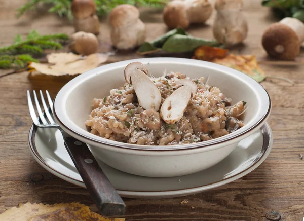 Risotto met paddestoel — Stockfoto