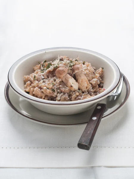 Risotto with mushroom — Stock Photo, Image