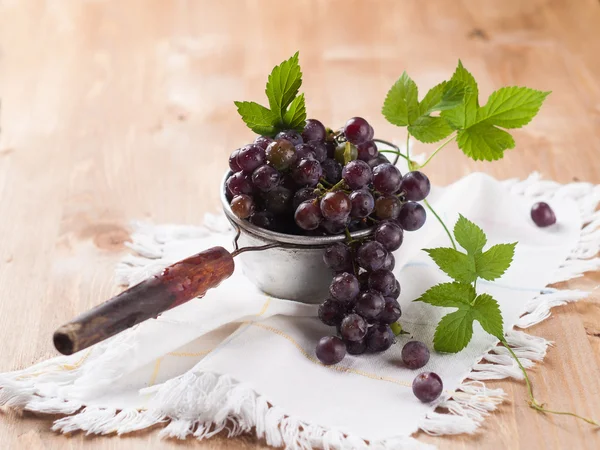 Uvas negras — Foto de Stock