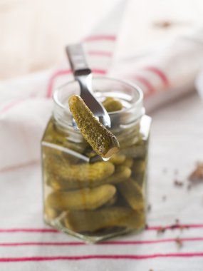 Tuzlanmış veya Marine cucumbe