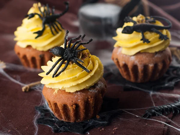 Halloween cupcake för fest — Stockfoto