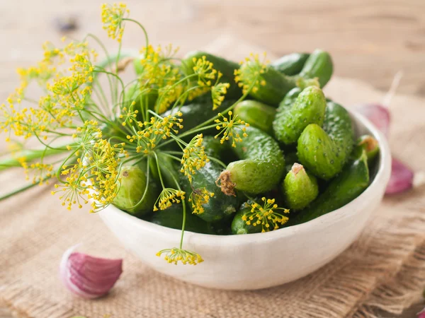 Fresh cucumbers and dill in bowl — Stock Photo, Image