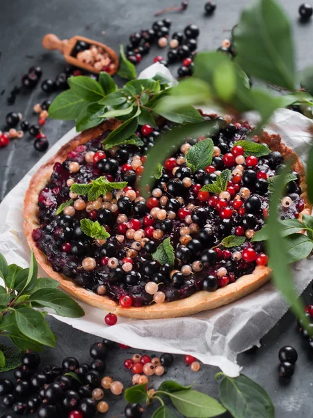 Fresh berries tart — Stock Photo, Image