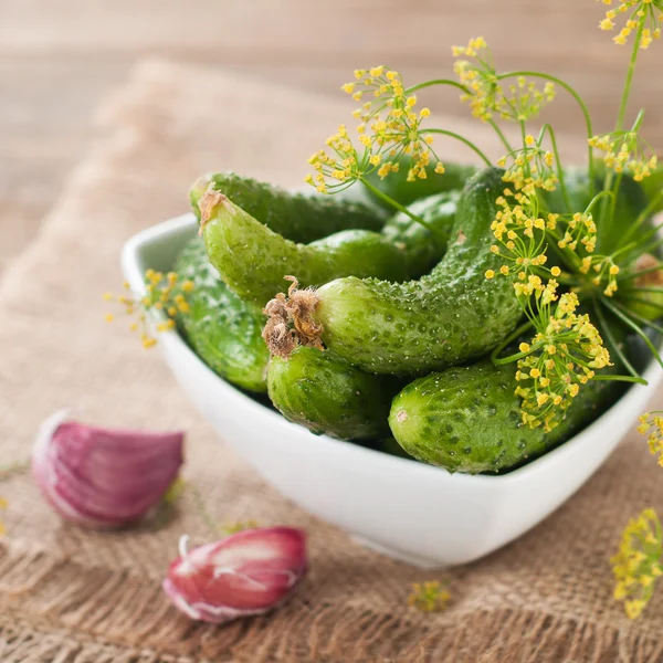 Fresh cucumbers and dill in bowl — Stock Photo, Image