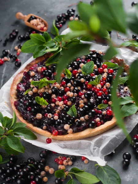 Fresh berries tart — Stock Photo, Image