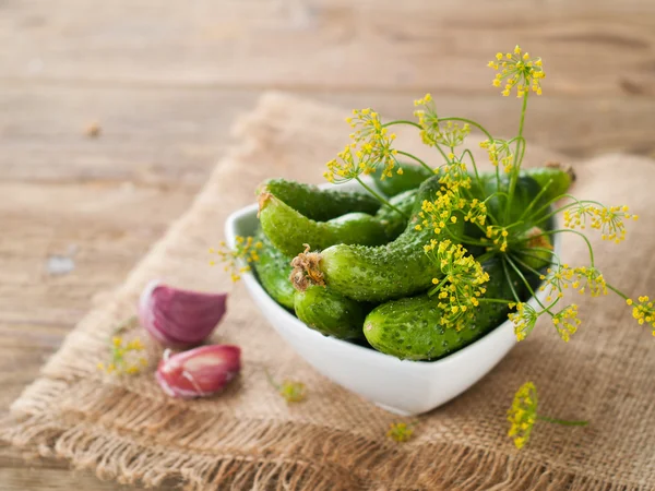 Fresh cucumbers and dill in bowl — Stock Photo, Image