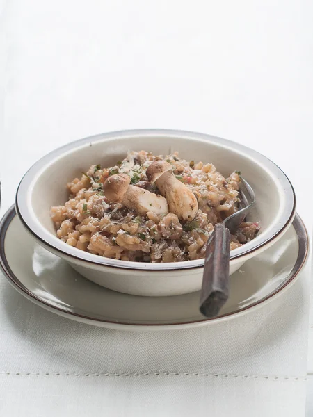 Risotto with wild mushrooms and parmesan — Stock Photo, Image