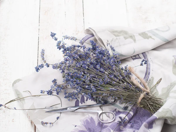 Ramo de flores de lavanda — Foto de Stock