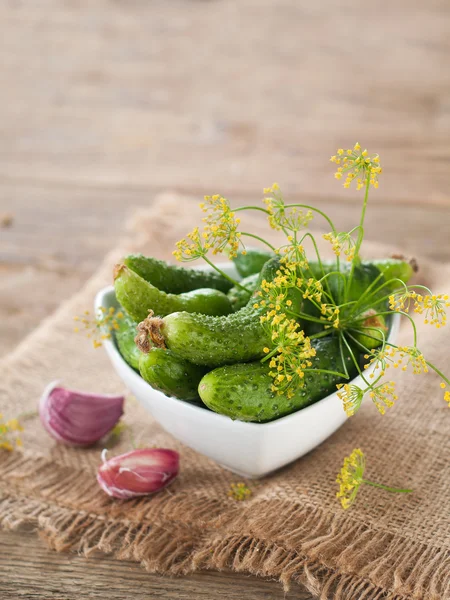 Taze salatalık ve dereotu kase — Stok fotoğraf