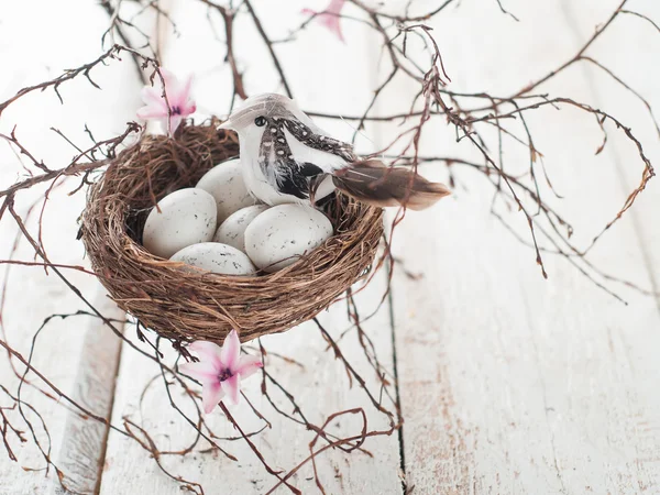 Ostereier und Vogel — Stockfoto