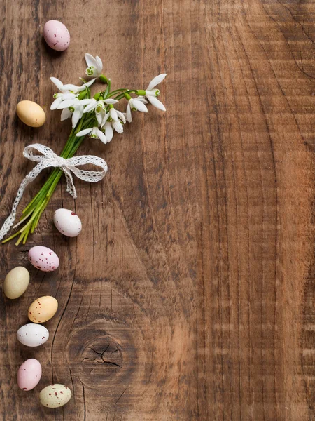 Snowdrop with chocolate egg — Stock Photo, Image