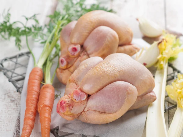 Čerstvé kuře — Stock fotografie