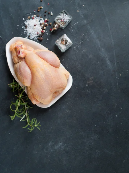 新鮮な鶏肉 — ストック写真