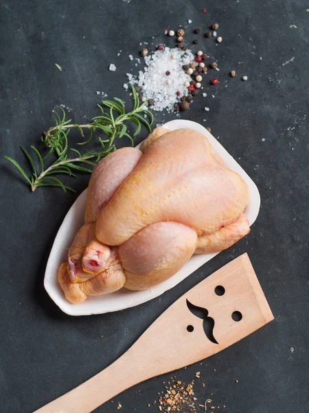 Frisches Hühnchen — Stockfoto