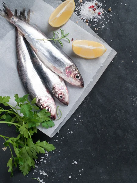 Fresh fish — Stock Image Fresh fish Stock Image