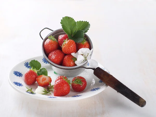 Căpșuni proaspete — Fotografie, imagine de stoc