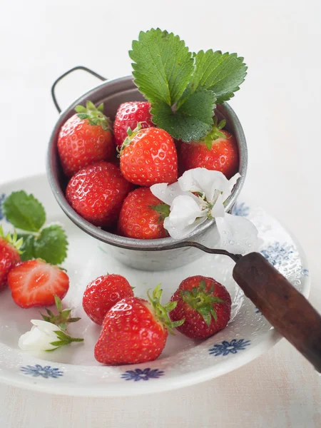 Verse aardbeien — Stockfoto