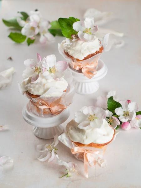 Cupcake or muffin with fresh flower — Stock Photo, Image